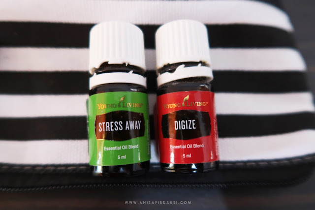 review yleo digize & stress away