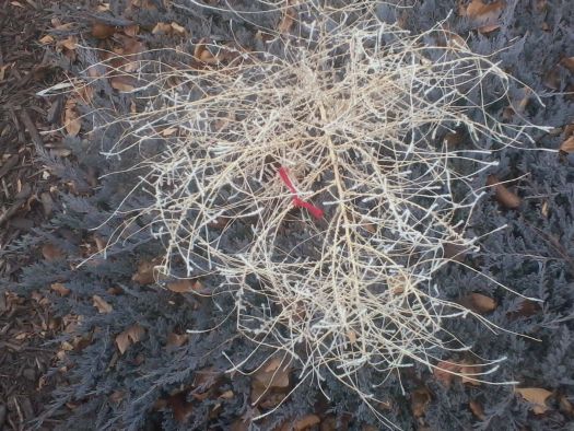 February Is Off To A Great Start