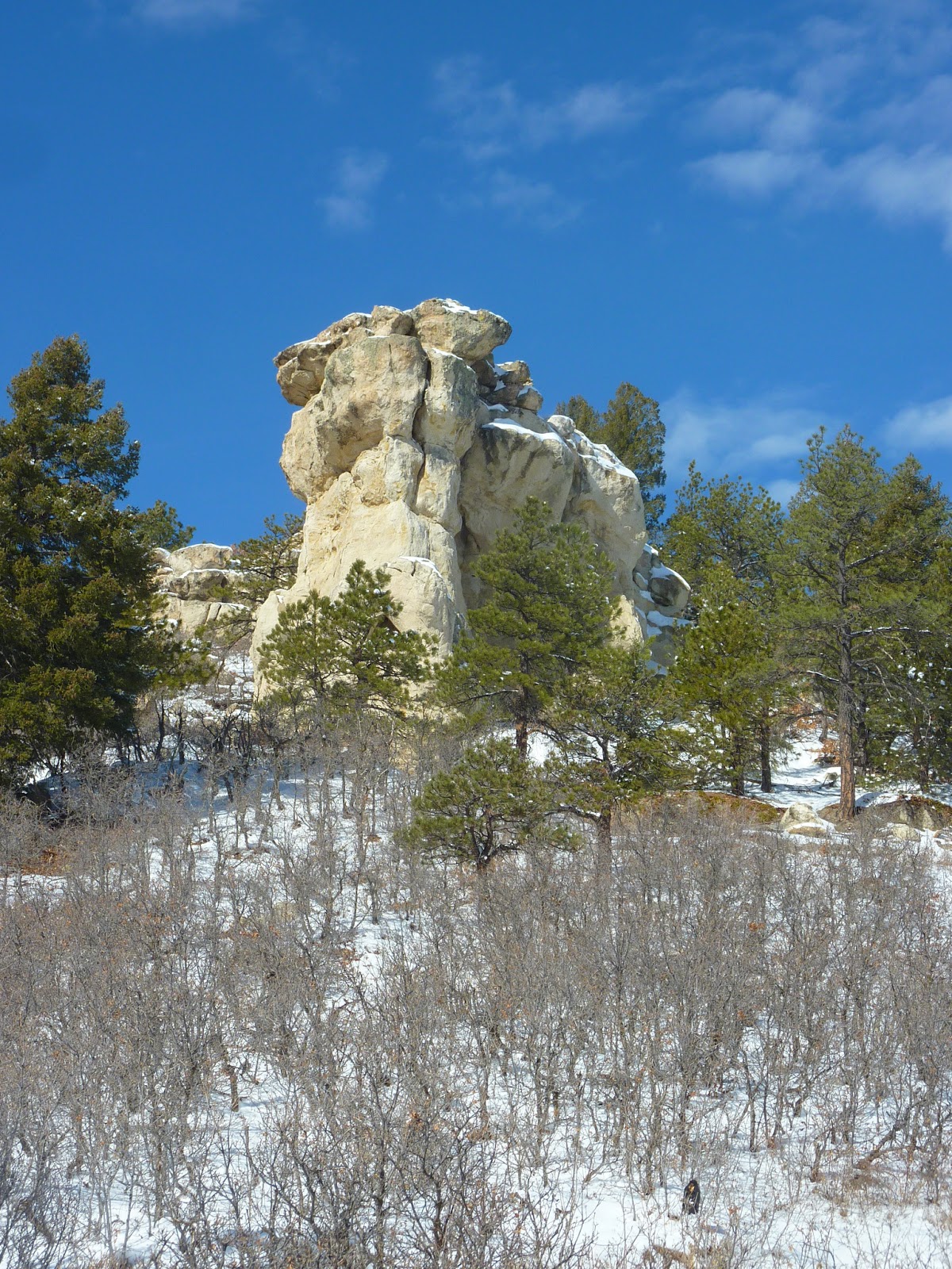 Hiking the Rockies and Beyond Spruce Mountain Loop Trail (Near