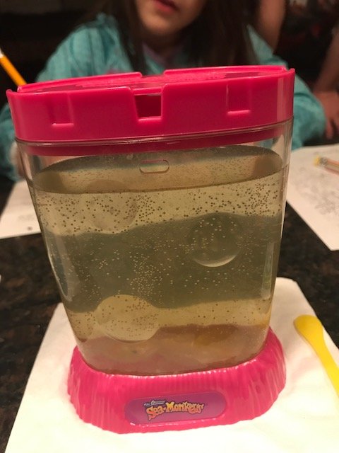 Cummins Life Our Sea Monkeys