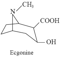 Ecgonine