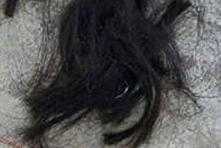 Image result for इंसान के बाल