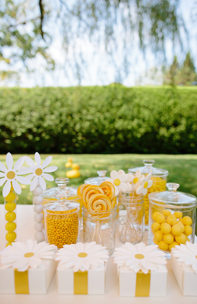 darcy miller, summer daisy party, candy bar, yellow daisies, summer
