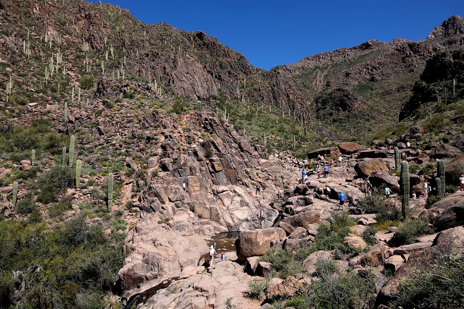 Stan's Travels Gold Canyon, AZ (3/25/2019)