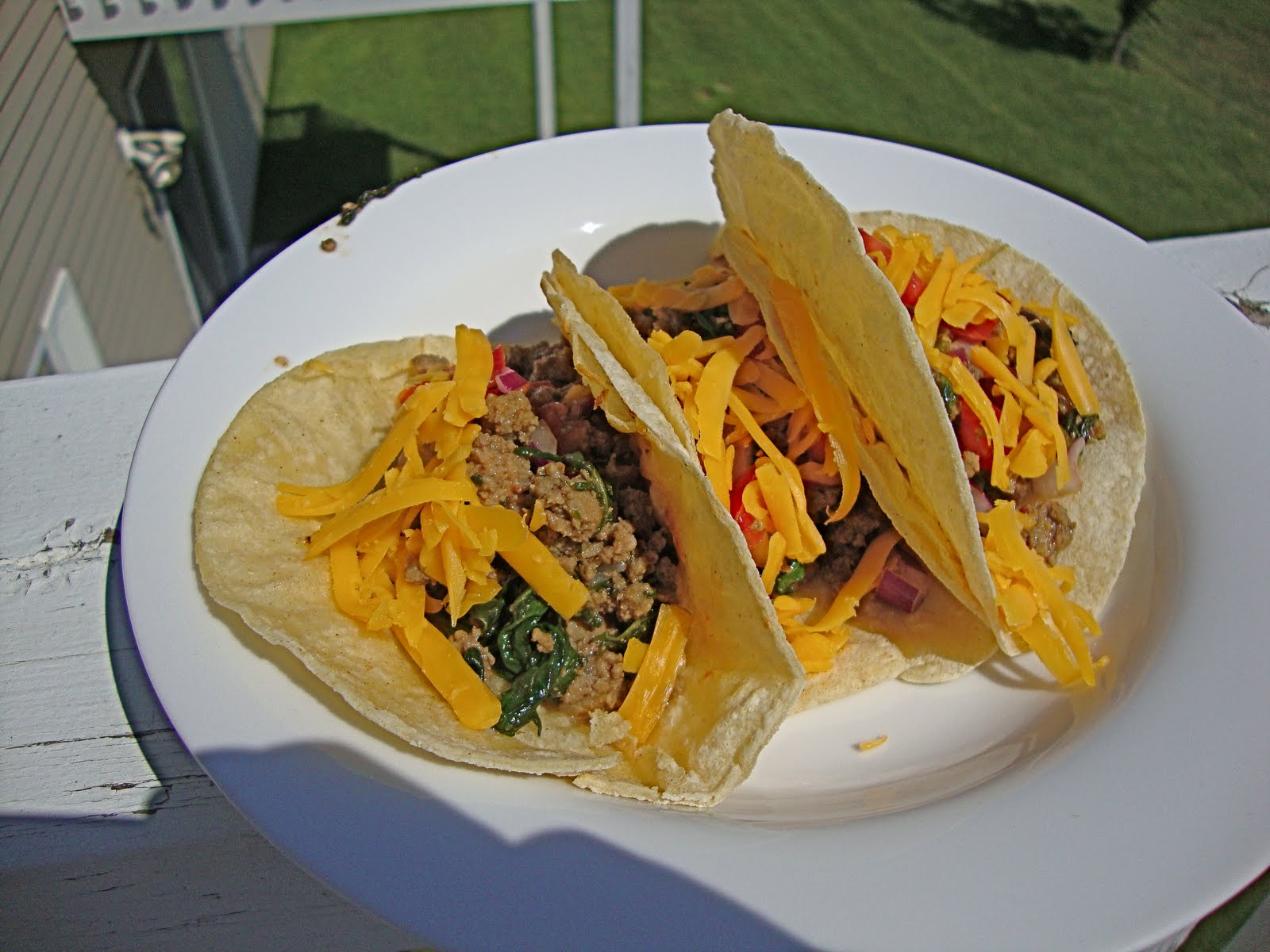 the test nest Spicy Beef and Spinach Burritos, easy and crowd pleasing.