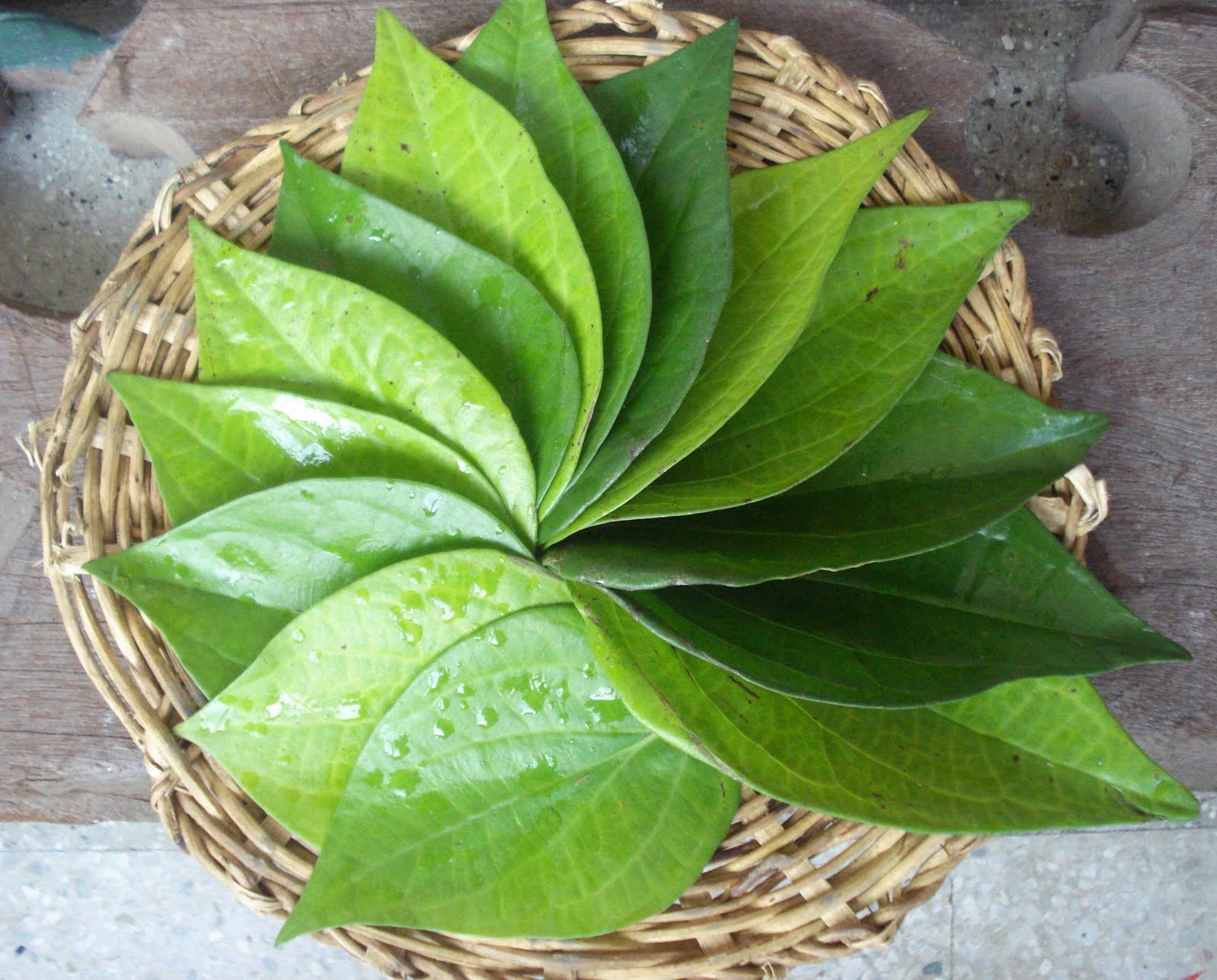 Betel Leaf Parcels | Mimosas & Samosas