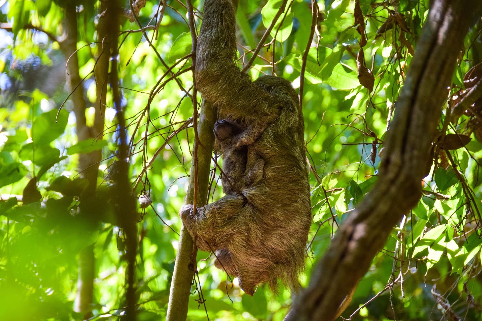 mother and baby cloth in costa rica