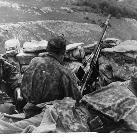 Armour force / Panssaroitu voima 6th SS Mountain Division Nord