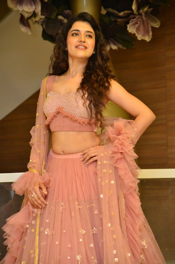 Chitra Shukla at Silly Fellows Pre-Release