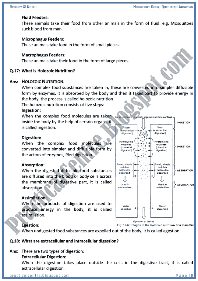 nutrition-short-questions-answers-biology-xi