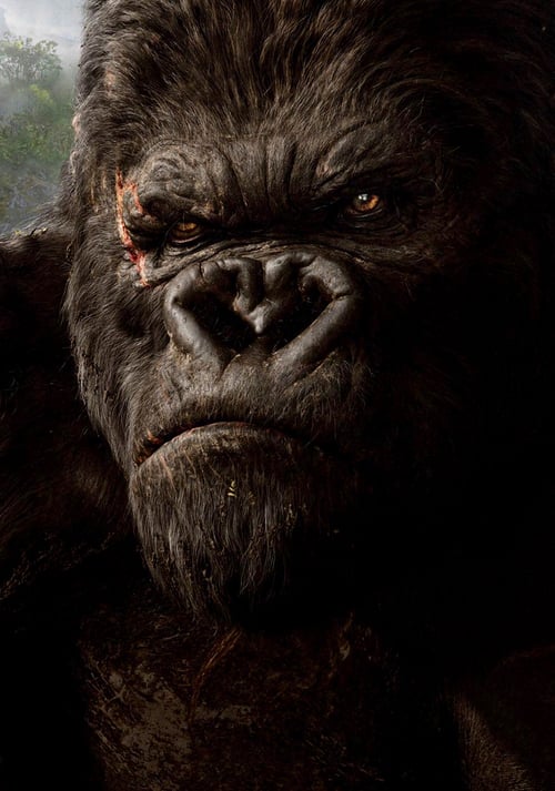 [HD] King Kong 2005 Film Complet En Anglais
