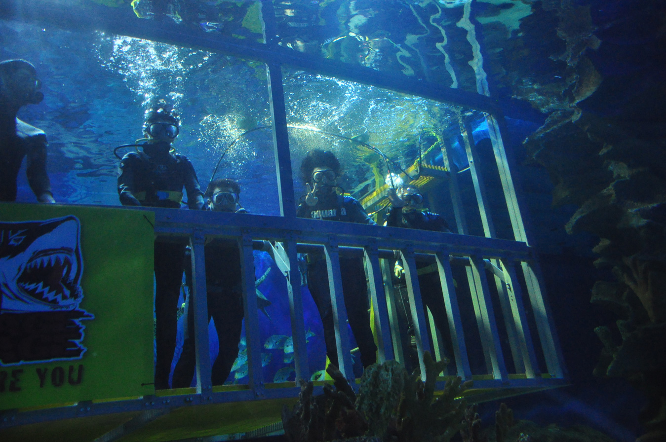 Achik Huda Timba Ilmu dan Pengalaman di Aquaria KLCC