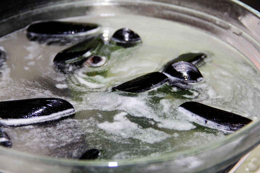 Lone Stars and Stripes { roasted striped bass with shrimp and mussels }