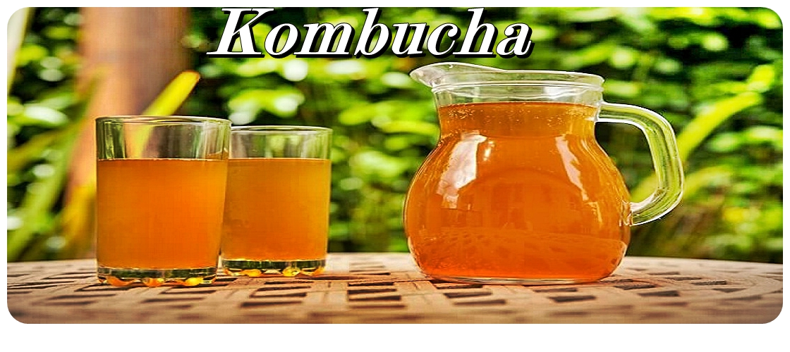 La Kombucha Es El Elixir De La Vida Y La Salud