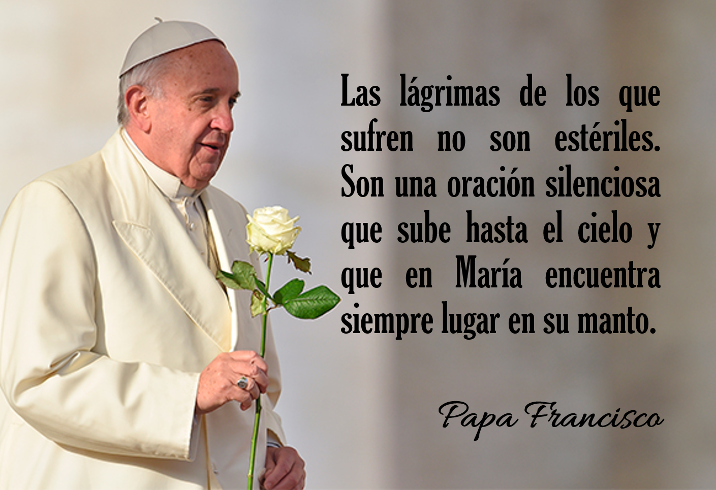 Pan para el Espíritu: Mensaje del Papa Francisco en el Santurario de la  Virgen de Guadalupe