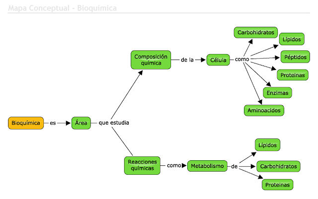 Blog de química cuarto periodo: Taller de bioquimica.