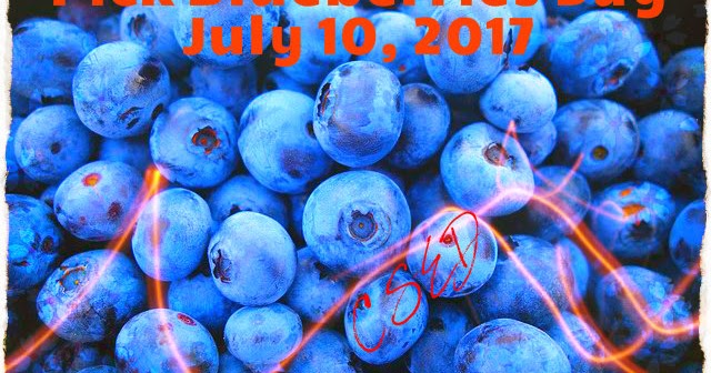 Crazy Days To Celebrate July 10 2017