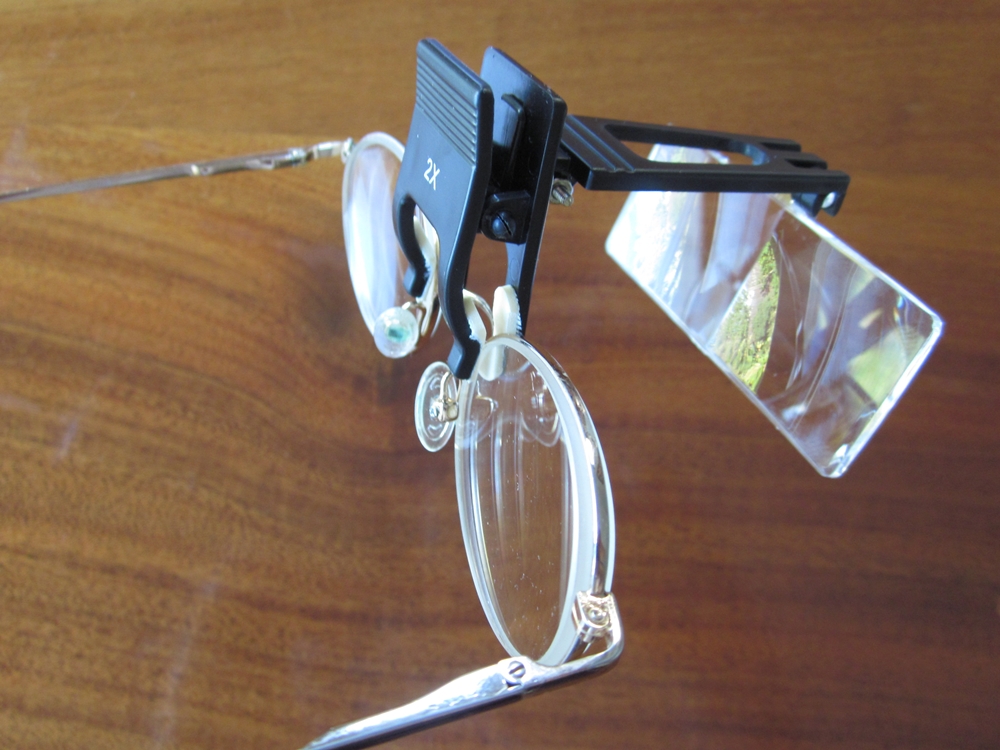 Lyn's Needlecase Clipon magnifiers and clipon readers