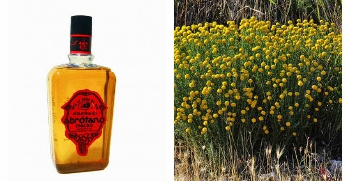 La Casa Española El Blog De Real Fabrica Shhh Que Hoy Os Cuento El Remedio Anticaida Natural Más Antiguo