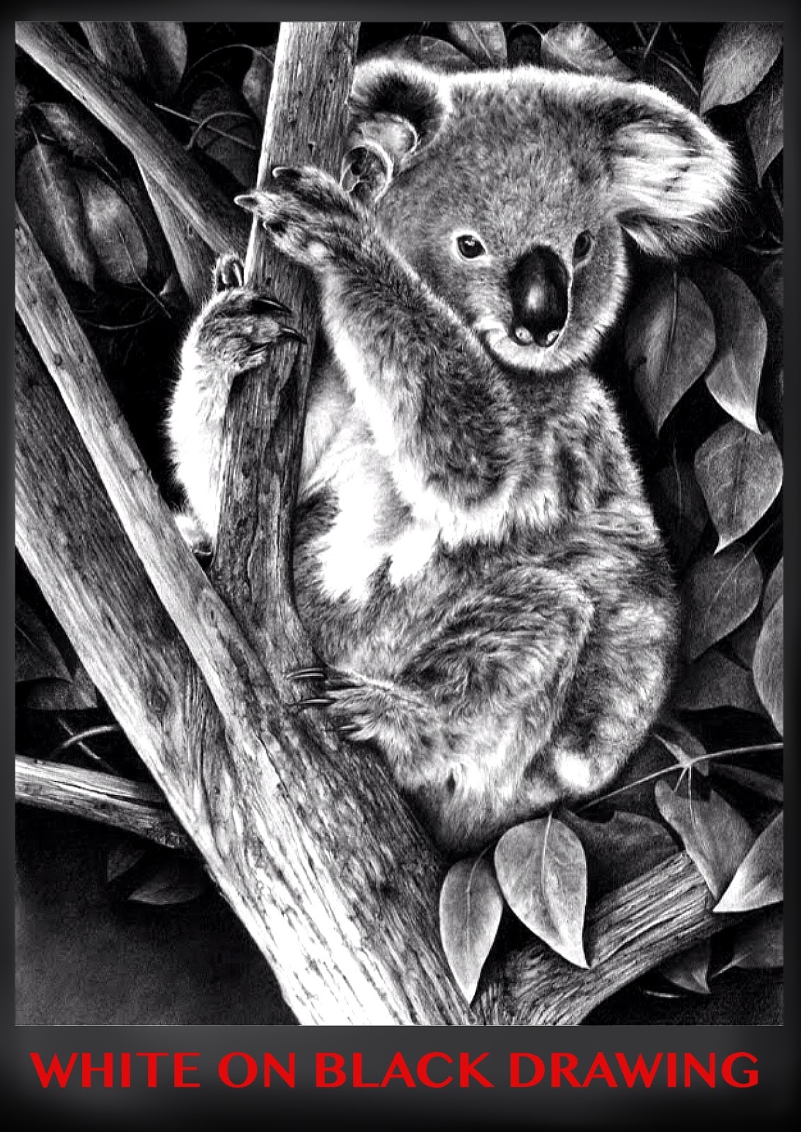 Коала рисунок
