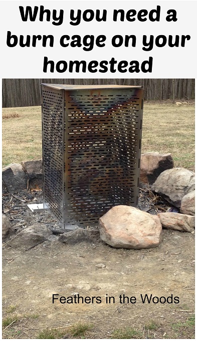home of the brave my home is a cage home of the brave my home is a cage