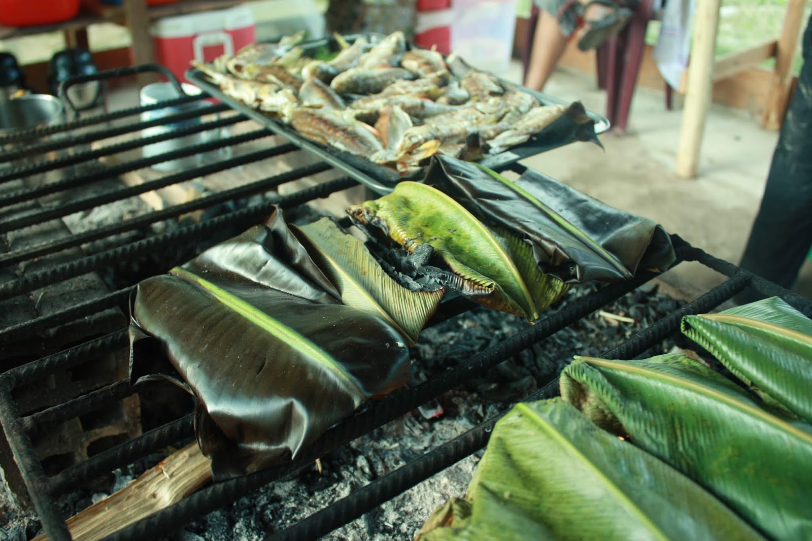 A dieta de cura xamânica A dieta de cura xamânica,curas da amazonia, plantas