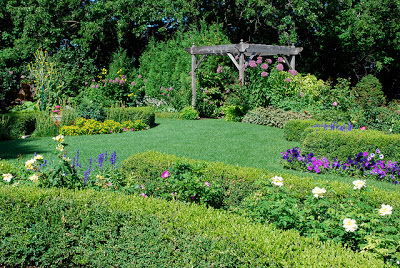 El Jardinero, plantas y flores: Cómo construir una pérgola para dar