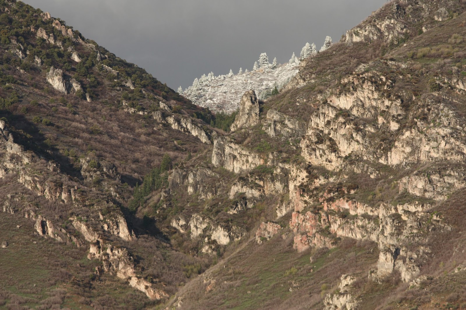 Pic Slide Canyon and Y Mountain