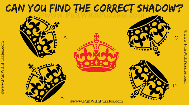 In this Picture Puzzle, your challenge is to find the correct shadow of the given central picture