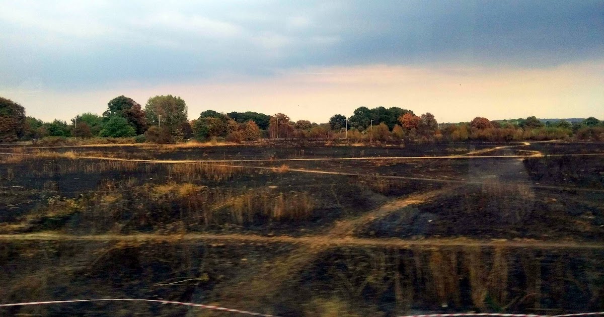 John's Labour blog Wanstead Flats Fire July 2018