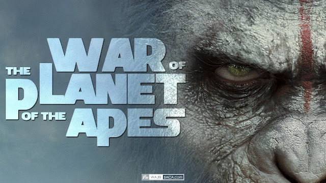 Sukses Tanpa Humor, War for the Planet of the Apes Kini Menghadirkannya di Tengah Kesuraman!