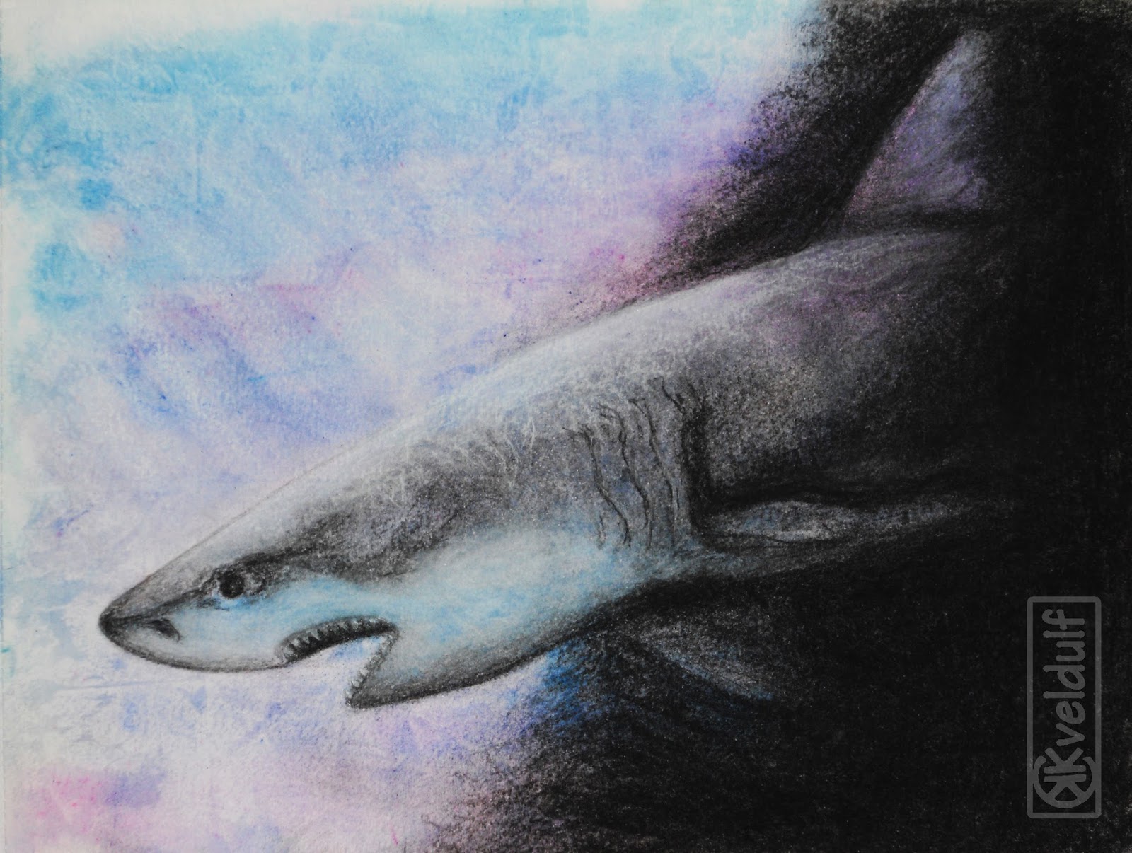 Kveldulf S Kritzeleien Der Edelkrebs Und Ein Grosser Weisser Hai