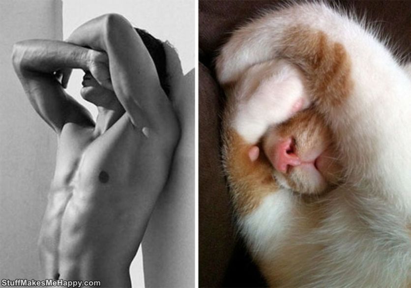 Funny Collages Cats vs men