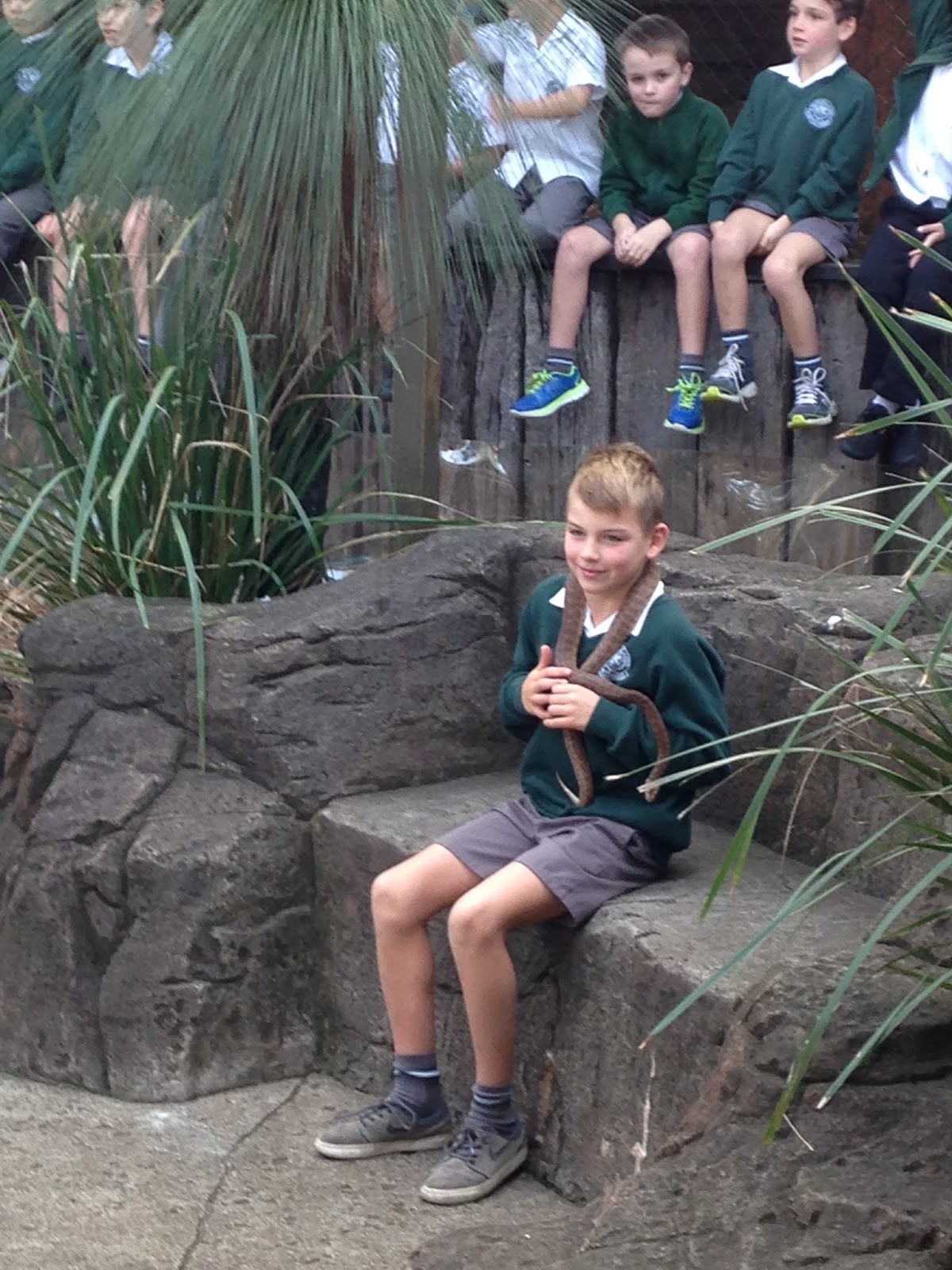 Belair Stage 1 Gosford Reptile Park