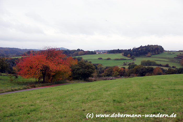 Reiseabenteuerlich Wandertour Bei Monschau In Der Eifel
