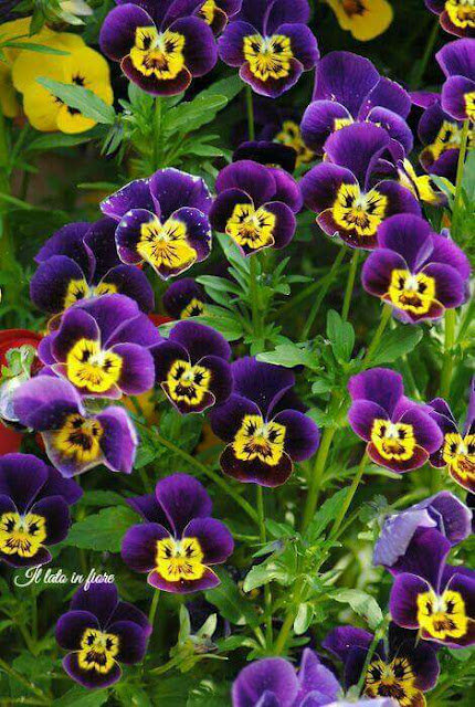 Ghost Recon Wildlands on PS4, Xbox One PC Ubisoft US