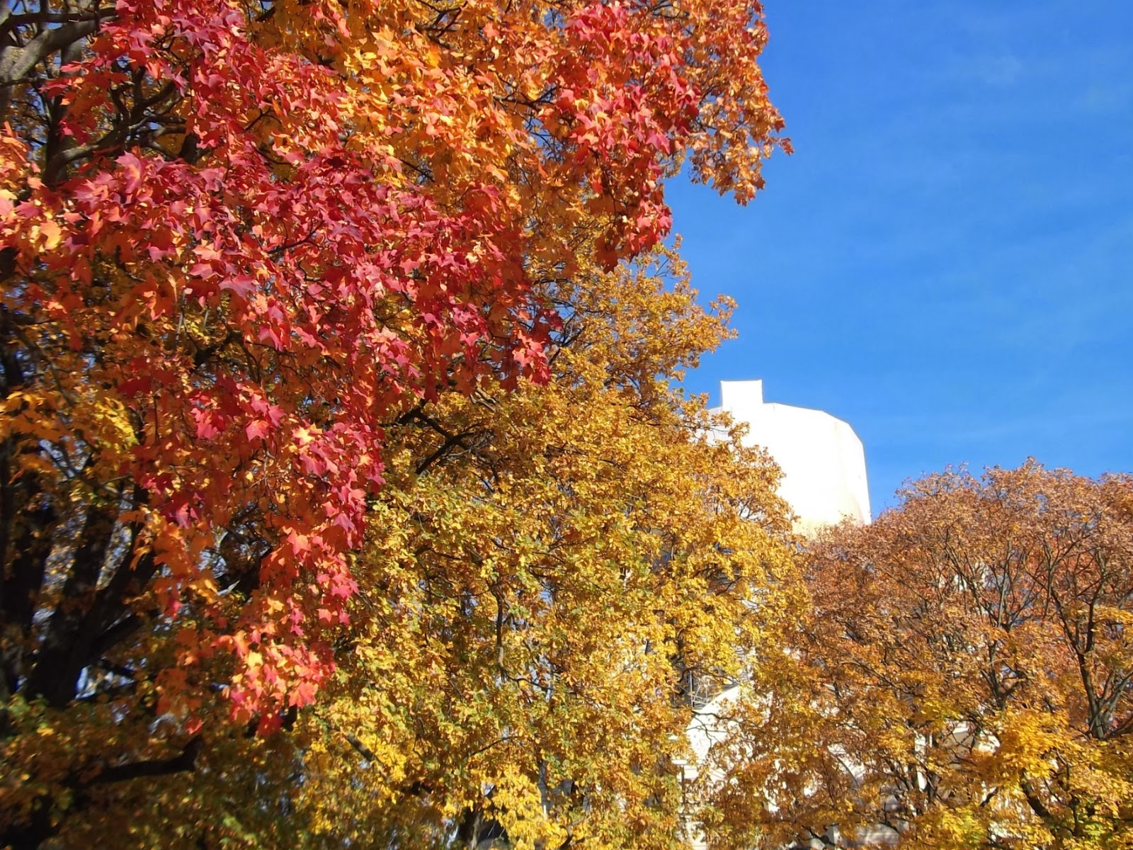 -30% на осень. осенняя 30. осенняя 30. осенние скидки одежда. 30.