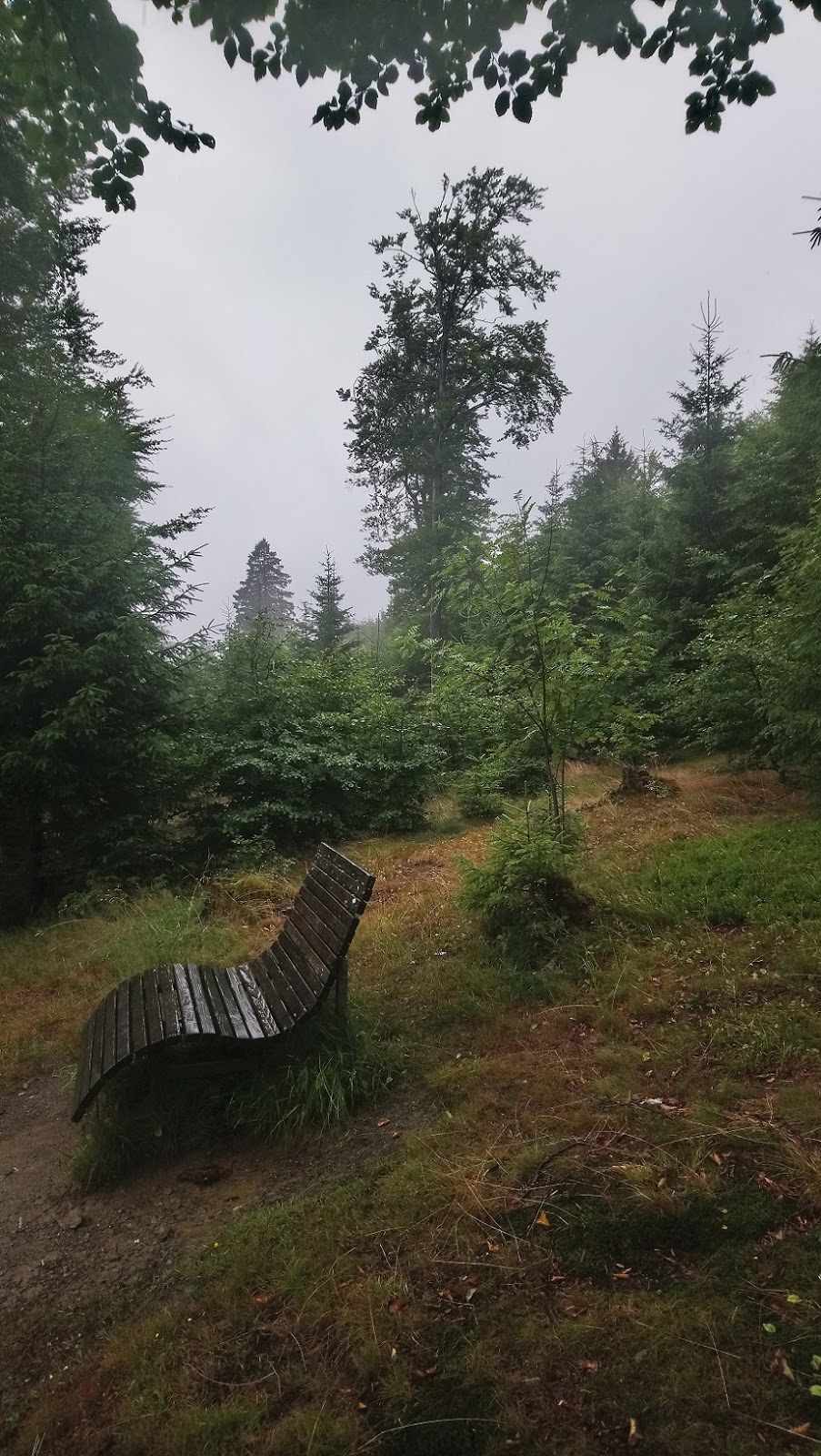 Center Parcs Park Hochsauerland In Medebach Bei Winterberg