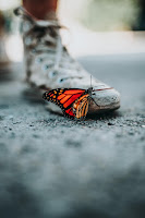 Photo by Nathan Dumlao on Unsplash. Close-up of a orange and black butterfly.It is sitting on someone's white high top sneaker. Photo by Nathan Dumlao on Unsplash.