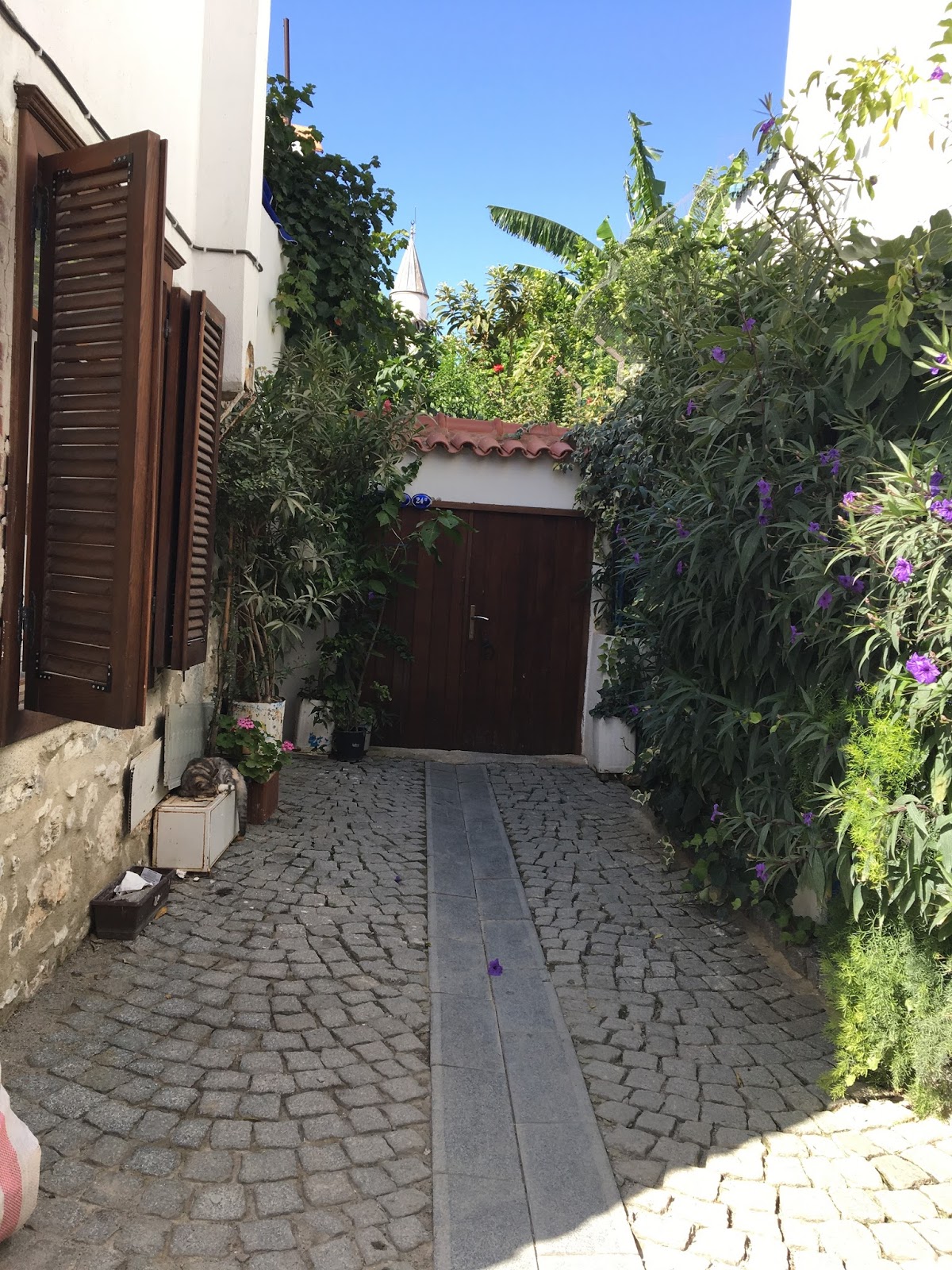 Ev yapımı ürünlerini otel ve AVMlere satıyorlar Ev yapımı ürünlerini otel ve AVMlere satıyorlar
