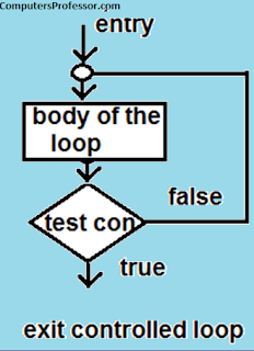 loop controlled exit entry define write control