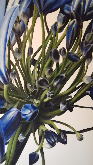 Close up on the Agapanthus, Jess Shepherd Close up on the Agapanthus, Jess Shepherd
