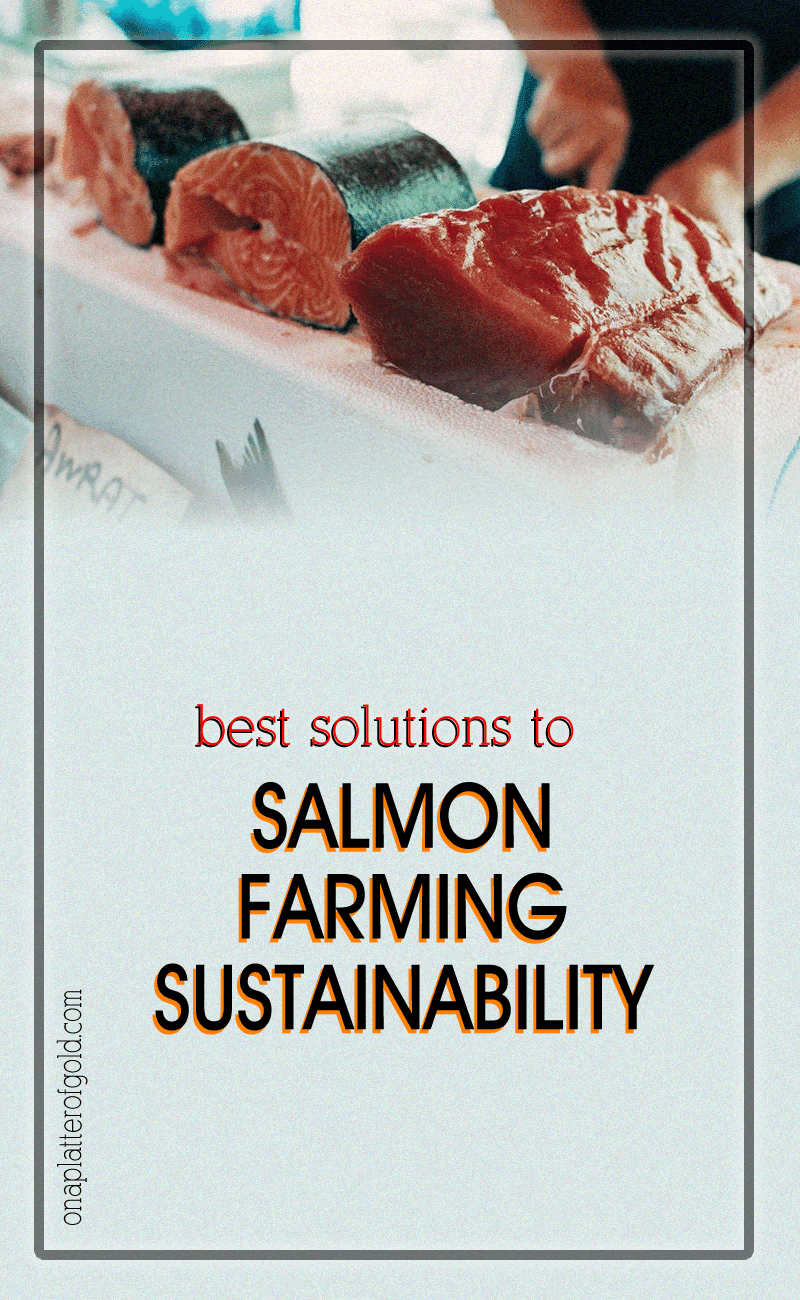 Salmon Farming and Sustainability: What Is the Solution?