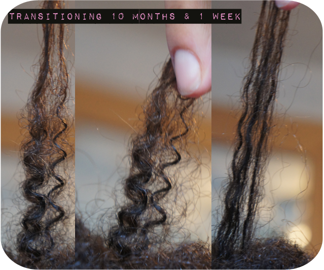 Transitioning To Natural Hair 10 Months Post Relaxer Curl Pattern 3c 4a hair
