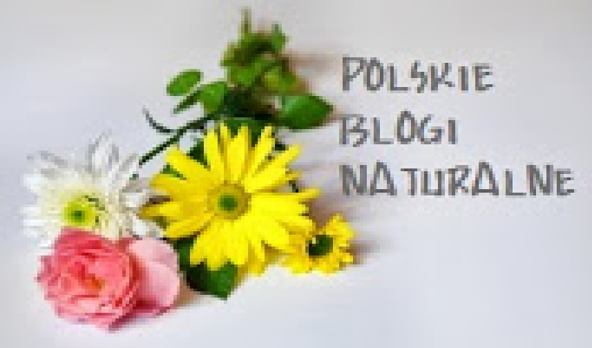 Spis blogów