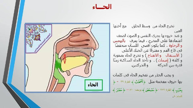 بالصور والفيديو دورة تعليم مخارج الحروف وصفاتها حرف حرف 8