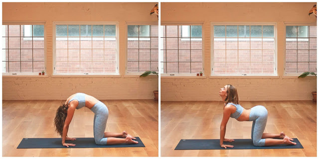 4 tư thế Yoga căn bản mà bạn không nên bỏ qua
