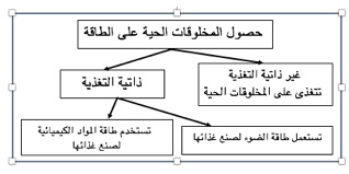 الوظيفة التي يتميز بها المخلوق الحي التي يتم من خلالها انتاج مخلوقات حية جديدة