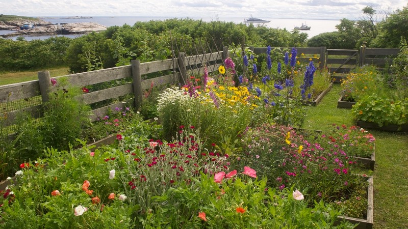 la isla de celia thaxter