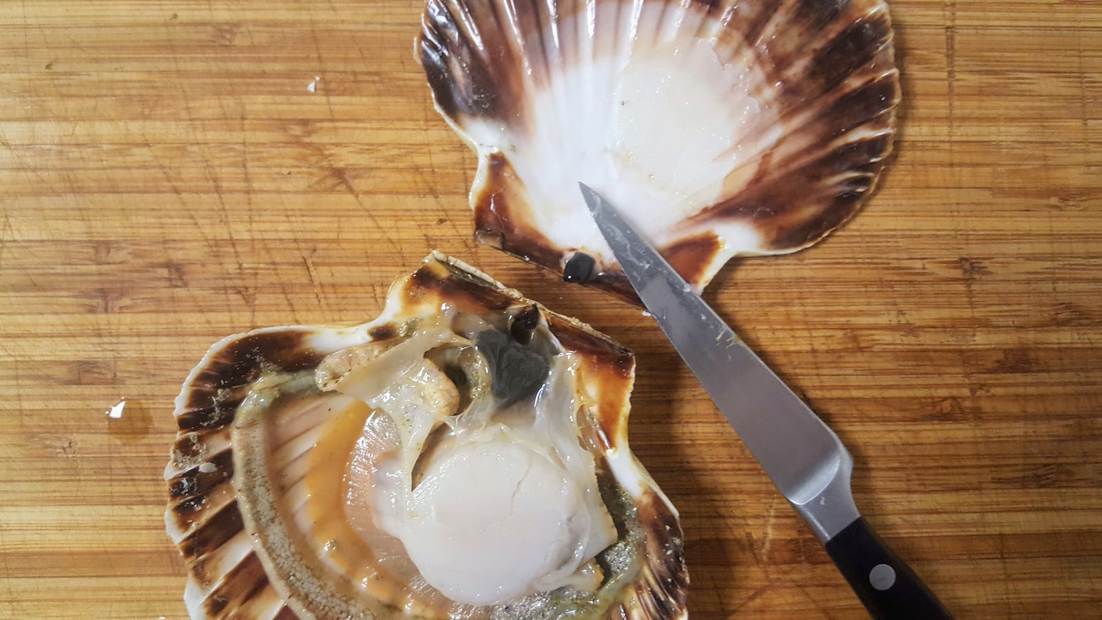 Ouvrir des coquilles SaintJacques